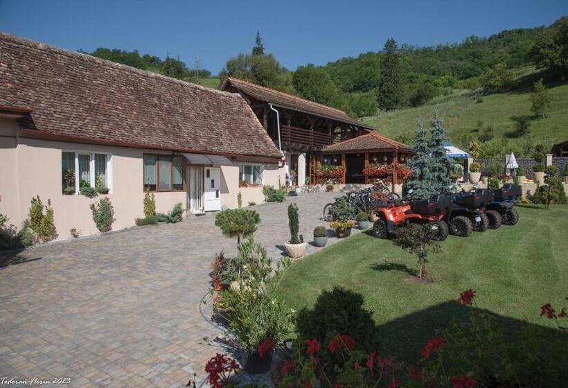 ペンション Biertan 48 Guesthouse