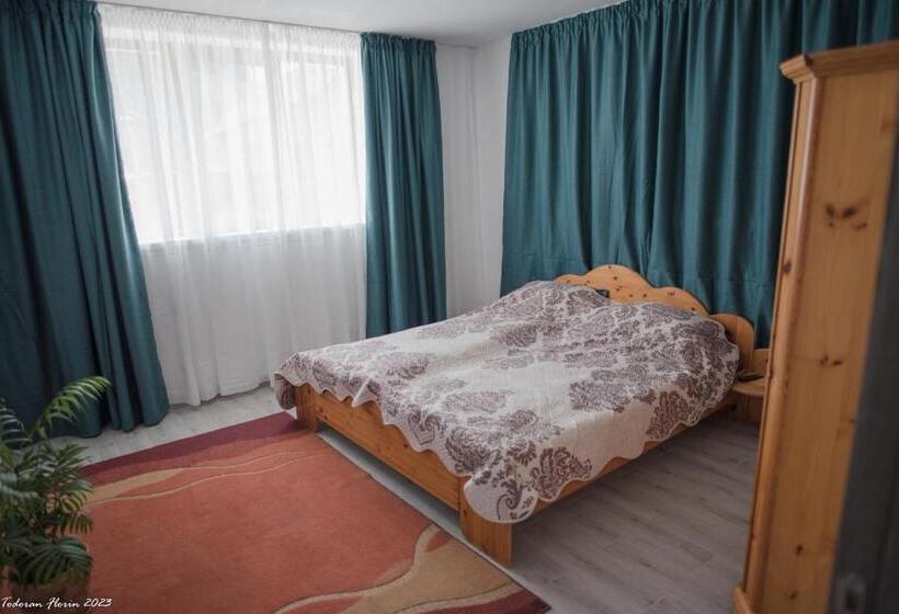 ペンション Biertan 48 Guesthouse