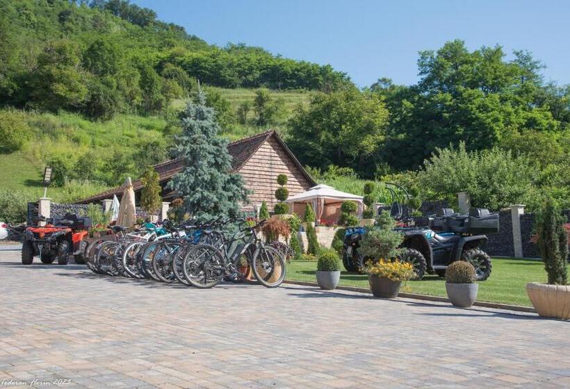 ペンション Biertan 48 Guesthouse