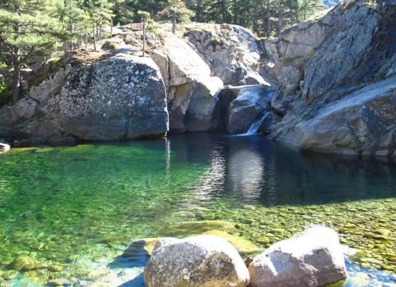 ペンション A 2 Minutes Rivière 25 Minutes Ajaccio Plages Linge Et Parking Inclus