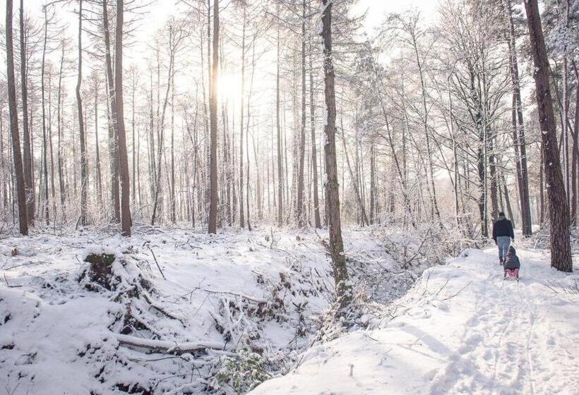 Пансион Kabana Eco Forest Suite