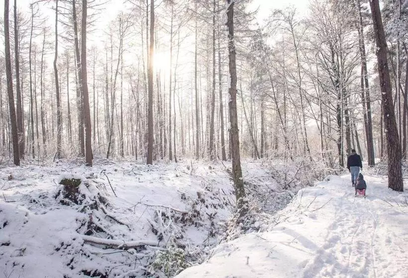 Majatalo Kabana   Eco Forest Suite