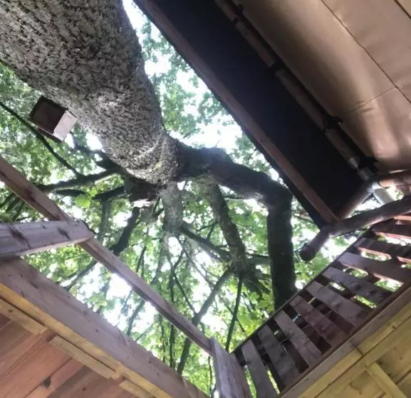 Majatalo Kabana   Eco Forest Suite