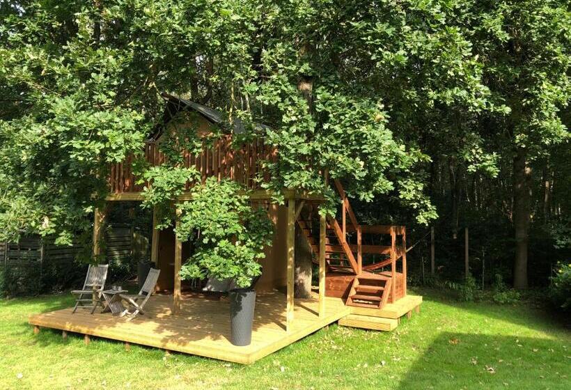 Пансион Kabana Eco Forest Suite