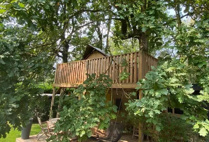 Majatalo Kabana   Eco Forest Suite