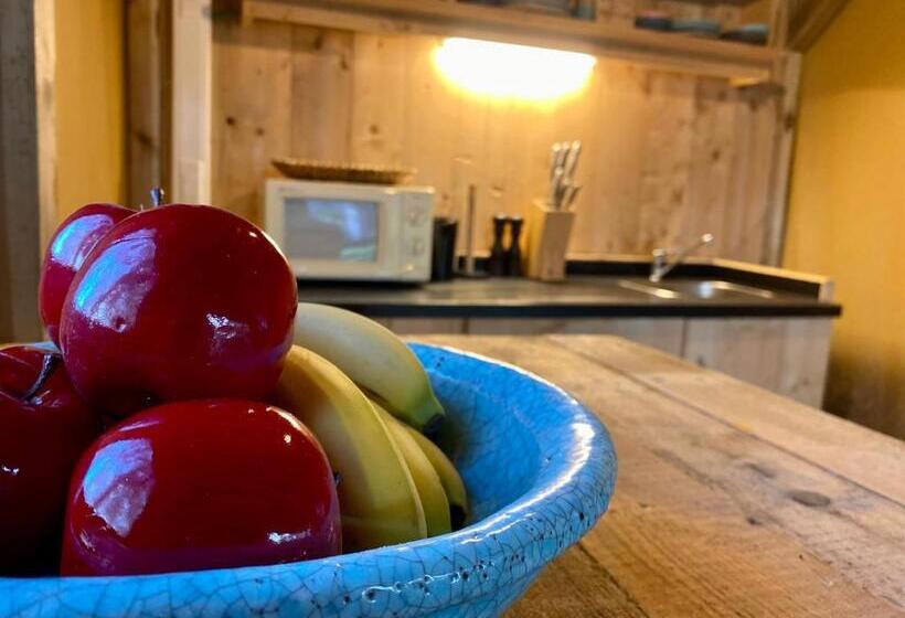 Пансион Kabana Eco Forest Suite