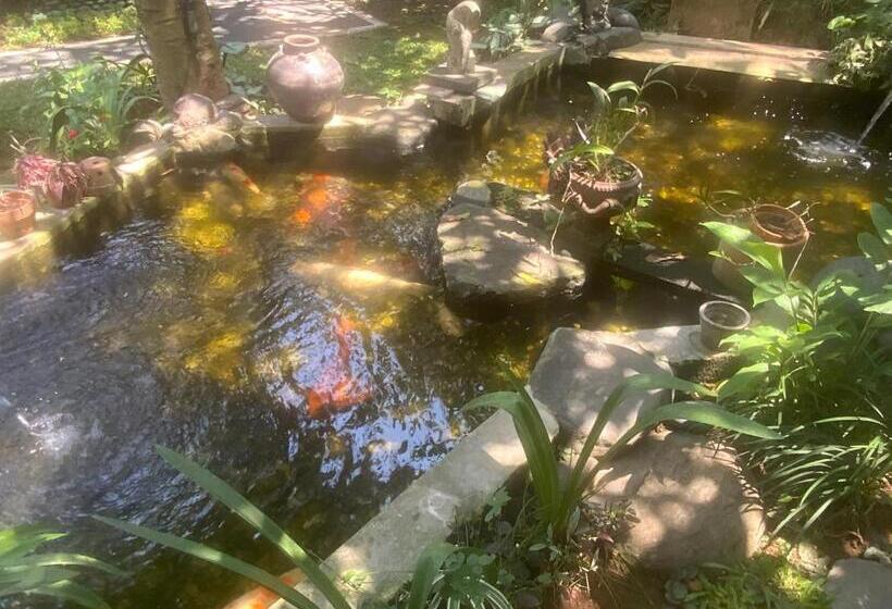 פנסיון Villa Koi