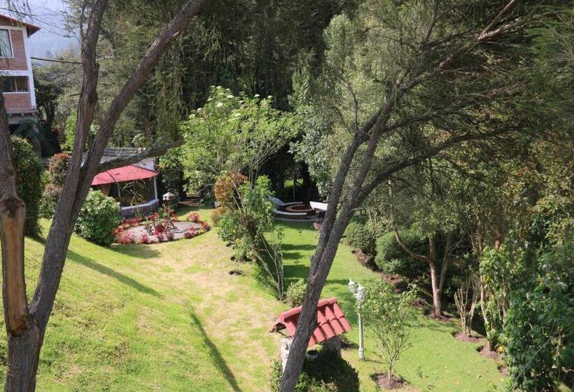 مبيت وإفطار Nono Villa Doris