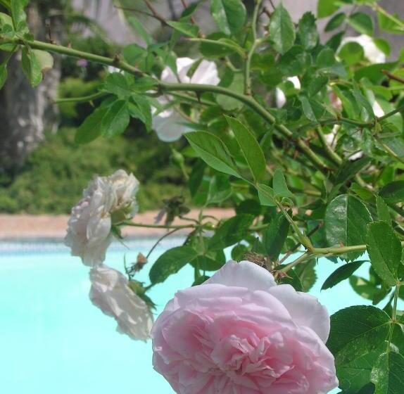 Bed & Breakfast Plumtree Lodge