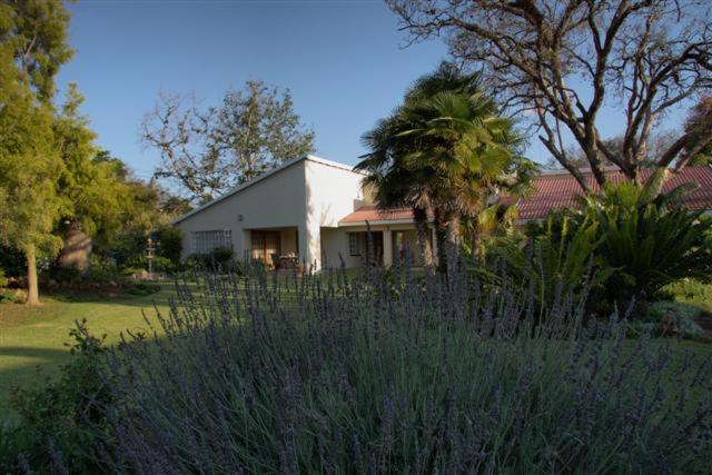 Bed & Breakfast Plumtree Lodge