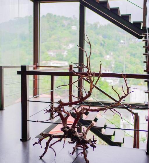 Отель Avora Mount