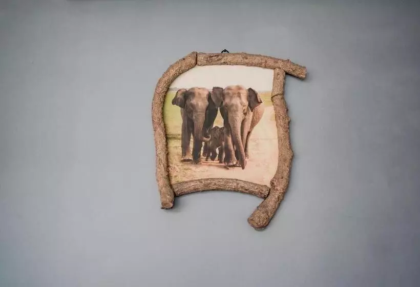 ホテル Avora Mount