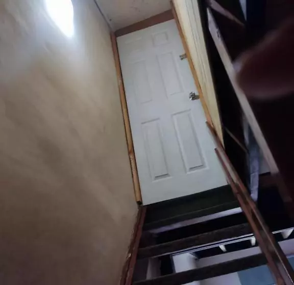 ホテル Hostal Nfrocket