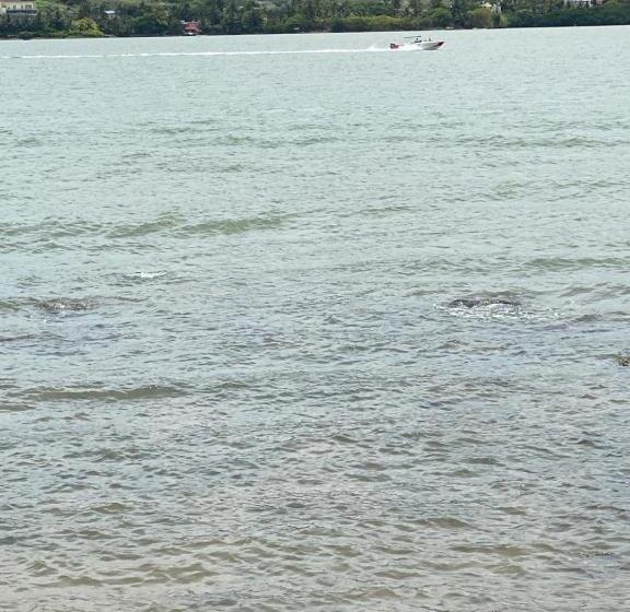 پانسیون Ashan Luxury Seafront Villa 1