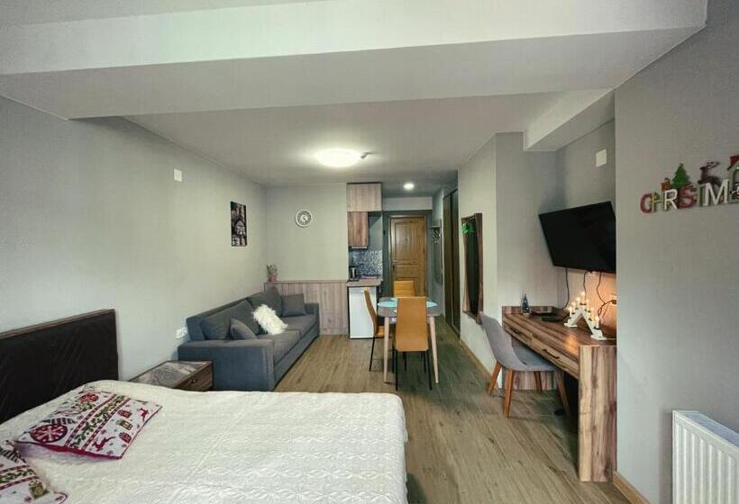 پانسیون Didveli Gallery Apartment B 309