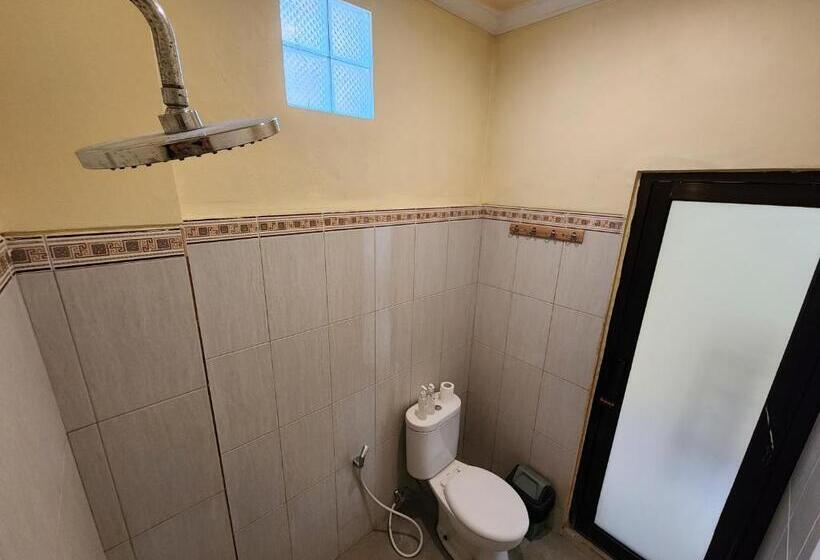 Пансион Double A