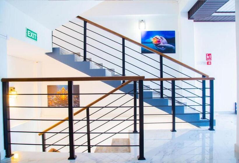 بنسيون Ivory Laze