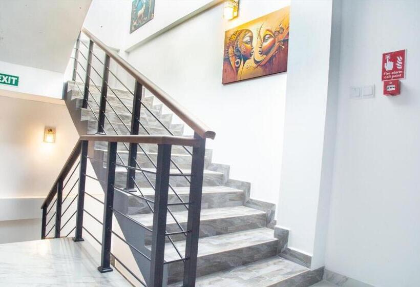 بنسيون Ivory Laze