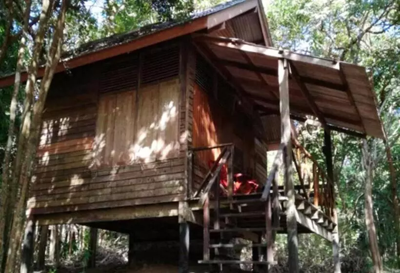 Majatalo Room In Bungalow   Family Cottage Of Koh Pu