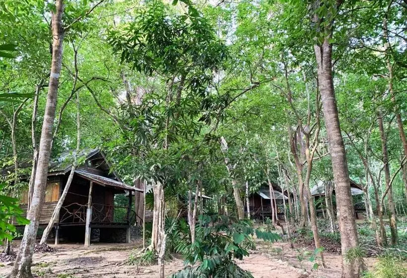 Majatalo Room In Bungalow   Family Cottage Of Koh Pu
