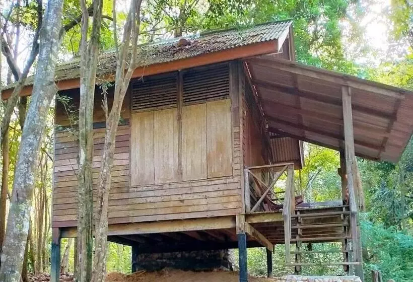 Majatalo Room In Bungalow   Family Cottage Of Koh Pu