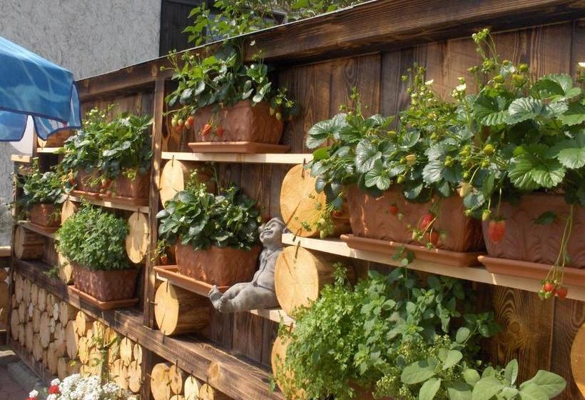 Отель Alpengasthof Brunella - Stüble