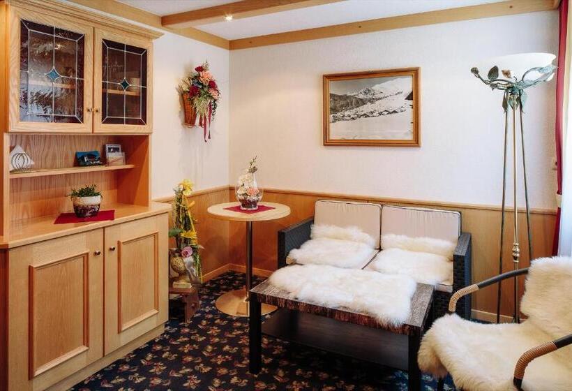 酒店 Appartement Platzergasse