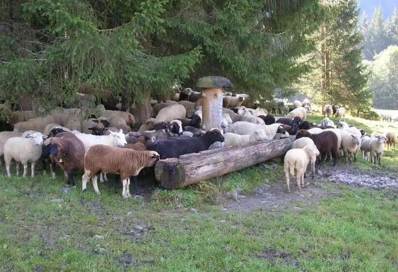 ホテル Ferienbauernhof Liebschick