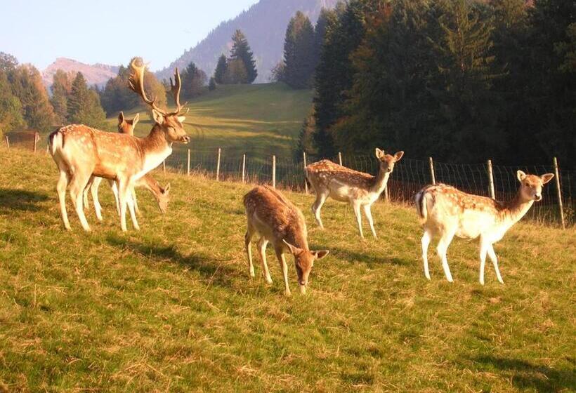 فندق Ferienbauernhof Liebschick