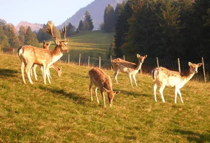 ホテル Ferienbauernhof Liebschick