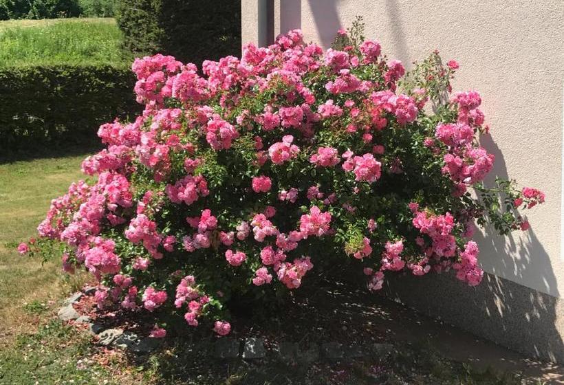 Отель Haus Goehringer