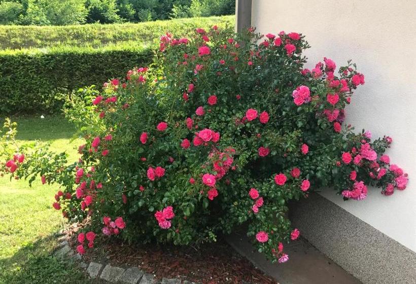 Отель Haus Goehringer