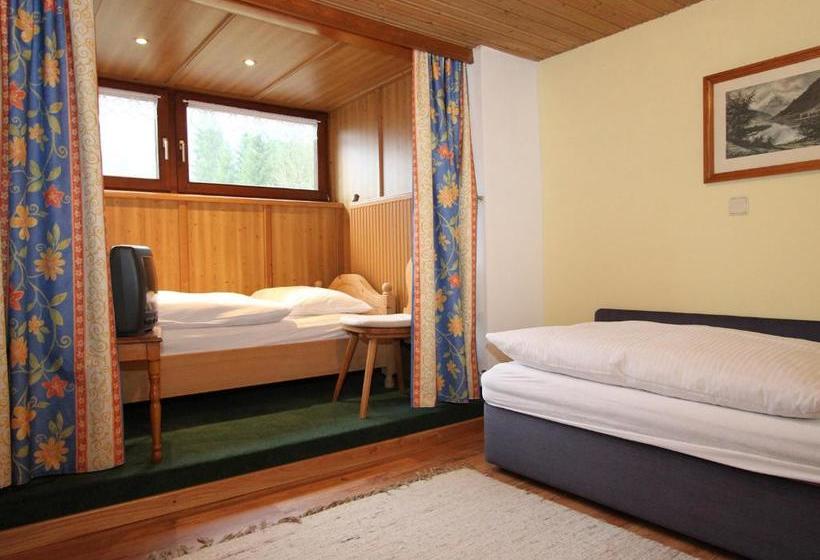 Отель Pension Sonneck