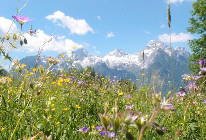 Отель Pension Sonneck