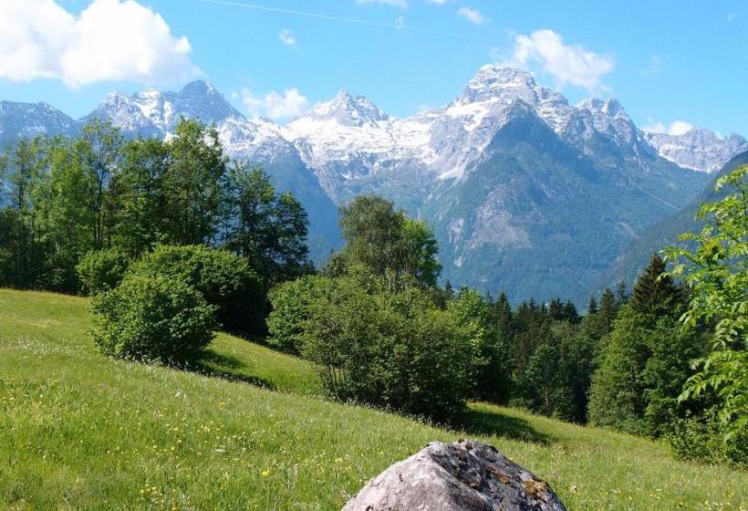 Отель Pension Sonneck