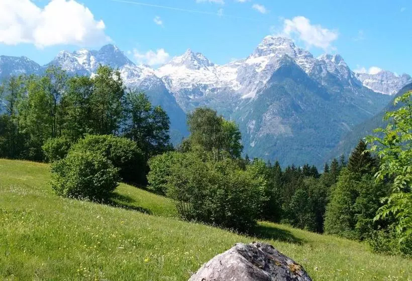 ホテル Pension Sonneck