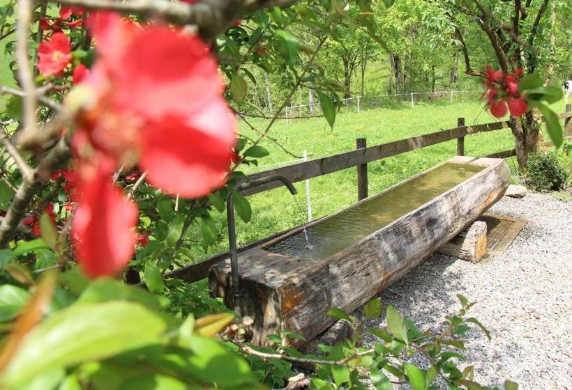 ホテル Vogt Juliana