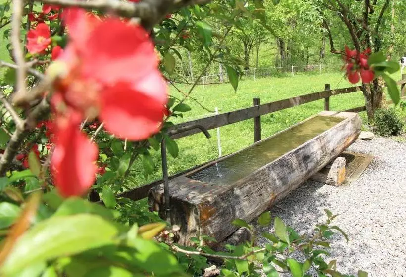 ホテル Vogt Juliana