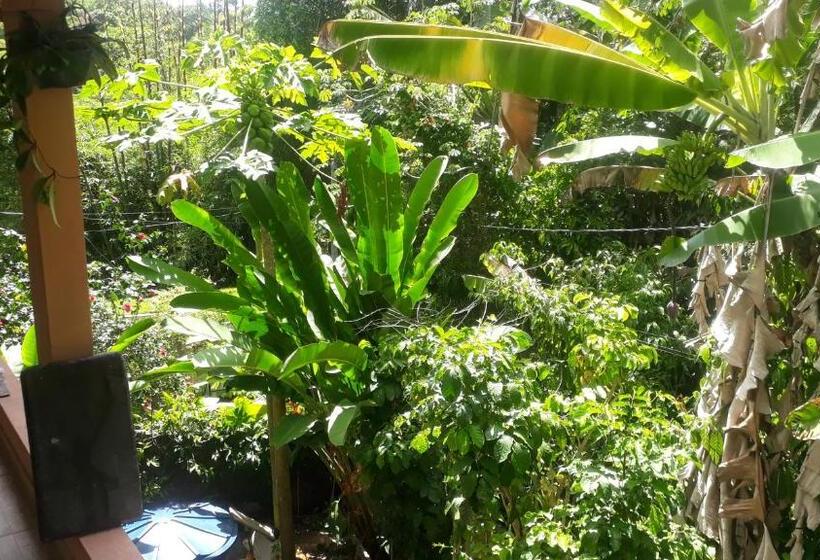 مبيت وإفطار Casa 262