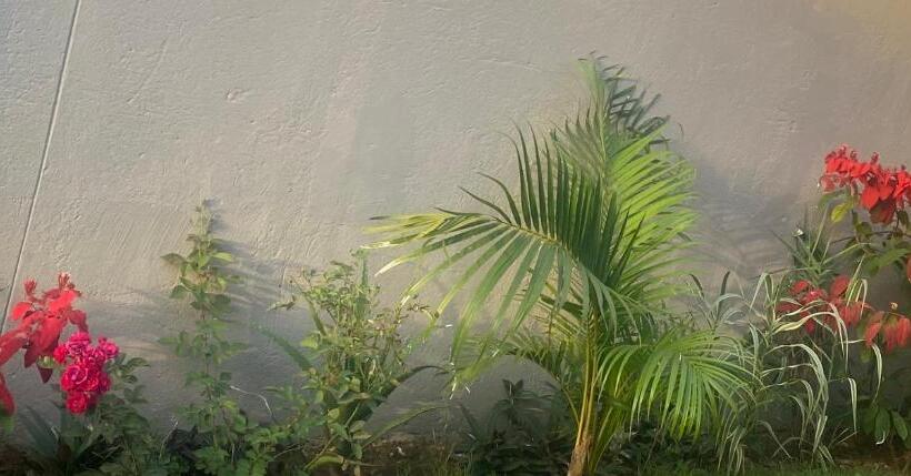 تختخواب و صبحانه Heri Courts