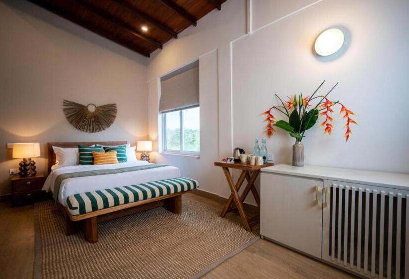 Отель The Jam House