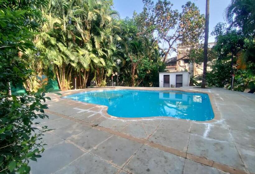 Opulence Boutique Resort, Alibaug