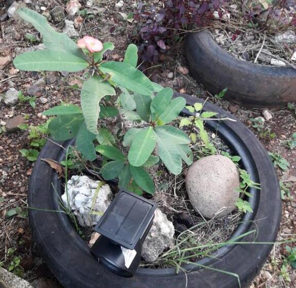 پانسیون Crystal Guest House