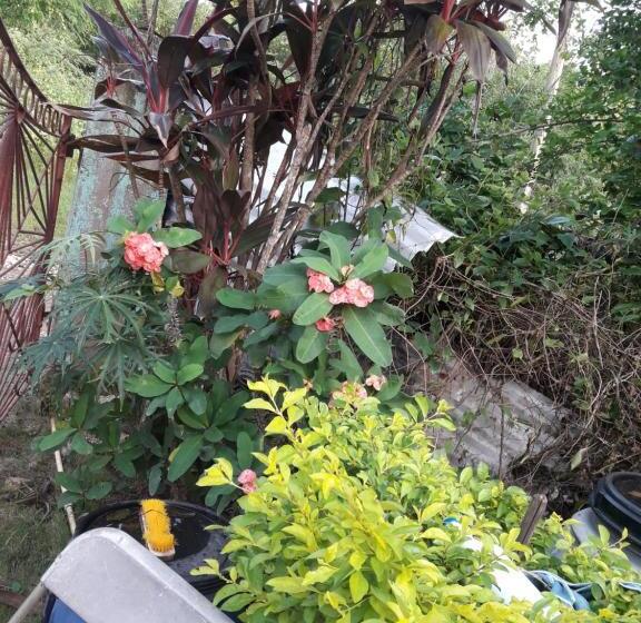 پانسیون Crystal Guest House