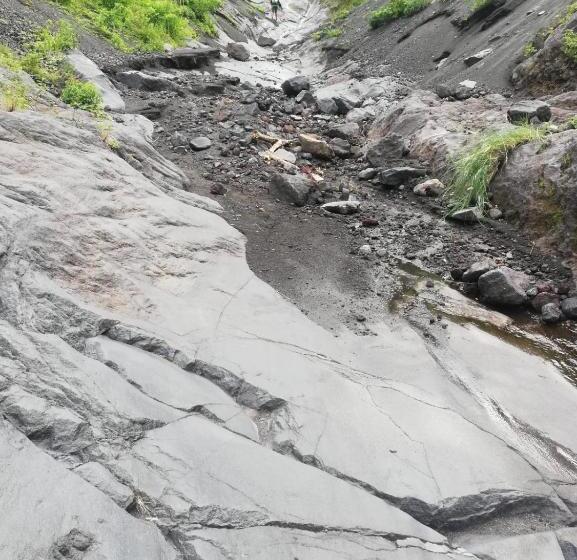 膳宿费 Hostal Xilotl