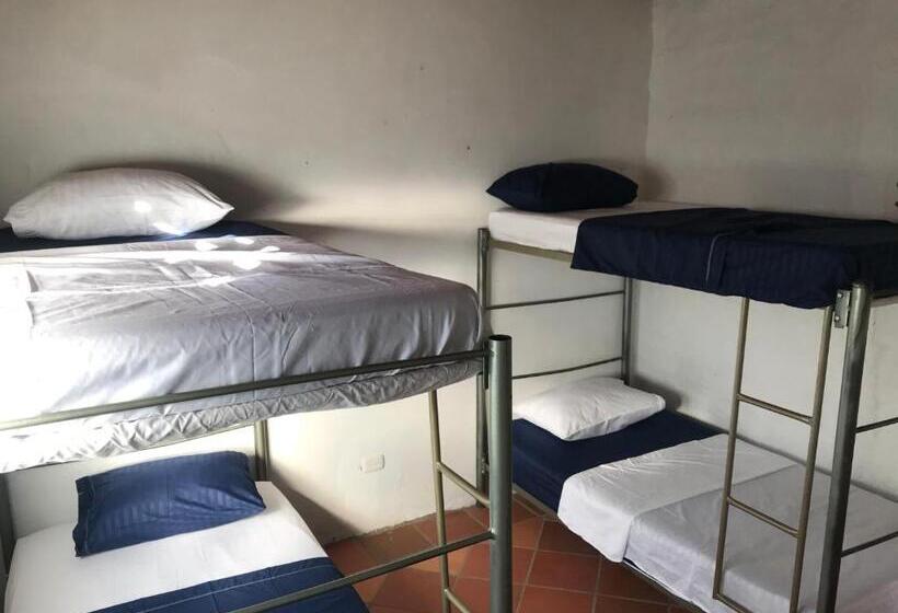 Riverman Hostel, Tourism And Friends