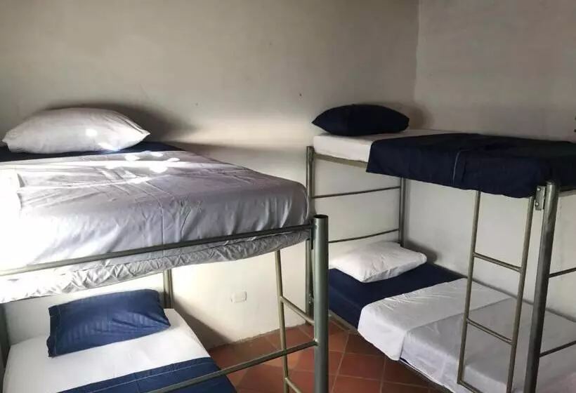 Riverman Hostel, Tourism And Friends