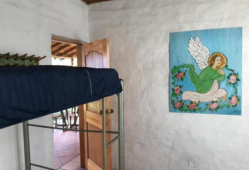 Riverman Hostel, Tourism And Friends