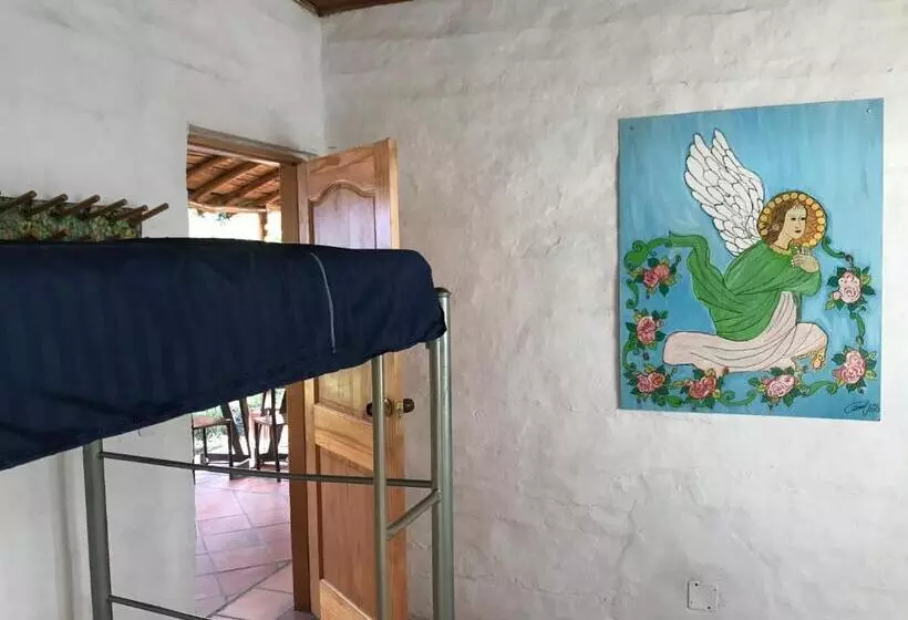 Riverman Hostel, Tourism And Friends