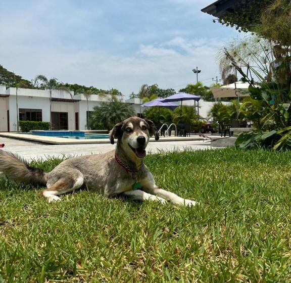 ホテル Palmar Del Río